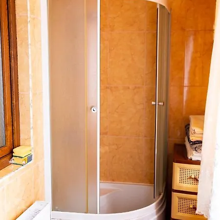 Pensiunea Rozmarin Guest house Singeorz-Bai