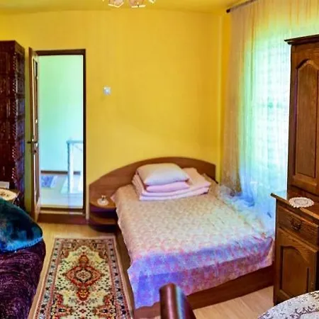 Pensiunea Rozmarin Guest house Singeorz-Bai