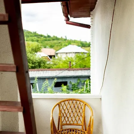 Pensiunea Rozmarin Guest house *