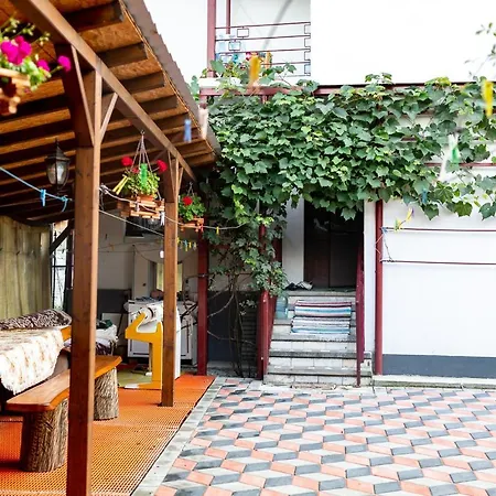 Pensiunea Rozmarin Guest house Singeorz-Bai