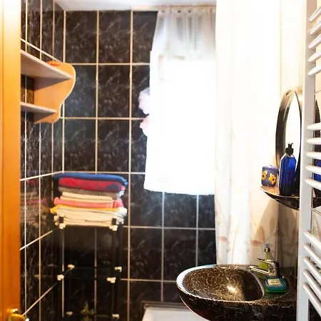 Pensiunea Rozmarin Guest house Singeorz-Bai