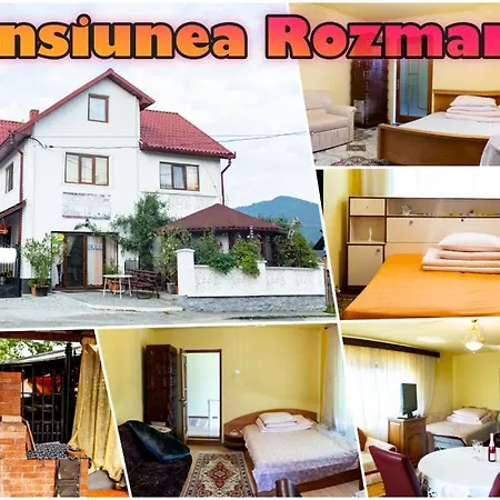 Pensiunea Rozmarin Guest house Singeorz-Bai